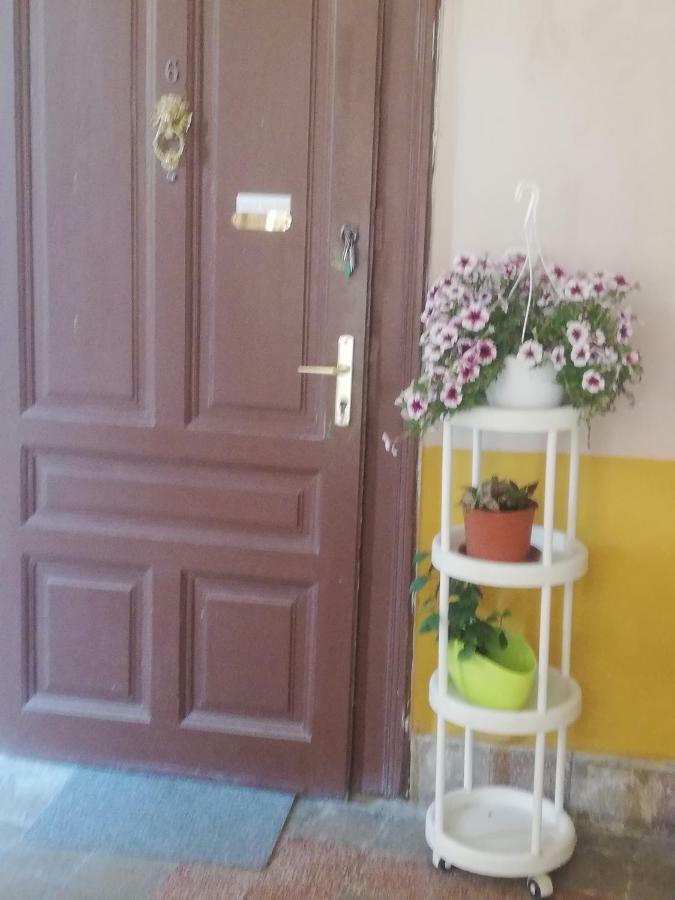 Galeria Apartman 세게드 외부 사진